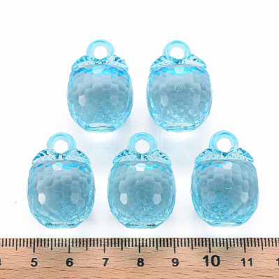Autumn Theme Transparent Acrylic Pendants LS-TACR-T024-04B-946-1