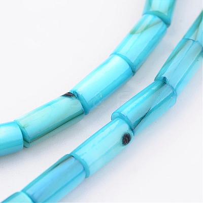 Natural Shell Bead Strands BSHE-P016-06-1
