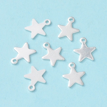 304 Stainless Steel Charms STAS-L234-069S-1