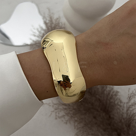 Alloy Hinged Bangles for Women FS-WGCBF0C-01-1