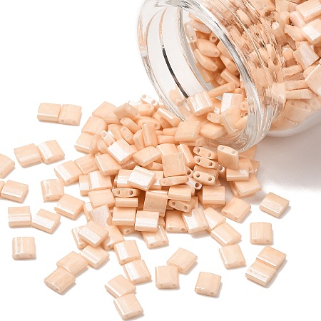 MIYUKI TILA Beads X-SEED-J020-TL593-1