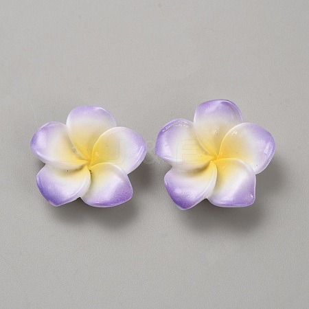 Two Tone Resin Cabochons RESI-WH20010-01A-1