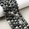 Natural Eagle Eye Stone Beads Strands G-G344-A05-8mm-1
