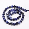 Natural Sodalite Beads Strands G-G542-6mm-28-2