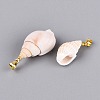 Brass & Natural Spiral Shell Pendants SHEL-Q029-18KCG-2