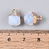 Opalite Pendants G-N359-18G-22-3