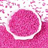 Baking Paint Glass Twist Bugle Beads SEED-C004-02S-2