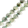 Natural Prehnite Beads Strands G-C116-A19-01-2