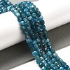 Natural Apatite Beads Strands G-E560-A07-4mm-A-5