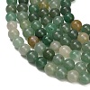 Natural Green Aventurine Beads Strands G-S150-10mm-4-3