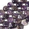 Natural Amethyst Beads Strands G-L648-B25-15mm-3