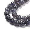 Natural Iolite Beads Strands G-C242-02D-4