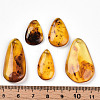 Natural Amber Pendants G-T140-17-3