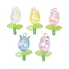 Acrylic Pendants PALLOY-JF03535-01-1