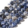 Natural Blue Spot Jasper Beads Strands G-R190-10mm-62-2