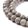 Natural Silver Line Jasper Beads Strands G-P451-03B-A-4