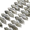 Natural Labradorite Double Terminated Point Beads Strands G-H069-B04-01-1