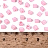 FGB Baking Paint Glass Seed Beads SEED-Q040-09A-02-4