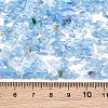 Glass Chip Beads GL-CBAB547-01-2