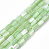 Natural Trochid Shell/Trochus Shell Beads Strands X-SHEL-N003-26-B08-1