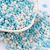 Glass Seed Beads SEED-L011-04A-18-1