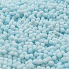 Macaron Color Opaque Frosted Glass Seed Beads X1-SEED-K009-12B-11-3
