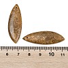 Natural Fossil Coral Pendants G-B187-01C-06-3