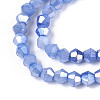 Ombre Effect Dyed Glass Beads Strands LS-GLAA-T025-4mm-09I-3