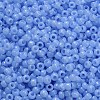 TOHO 6/0 Round Beads SEED-TR06-1146-4