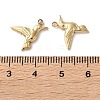 304 Stainless Steel Pendants STAS-L022-553G-3