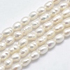 Natural Cultured Freshwater Pearl Beads Strands X1-PEAR-F007-83-1