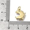 Brass Micro Pave Clear Cubic Zirconia with Glass Charms X1-KK-G525-06G-03-3