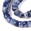 Natural Blue Spot Jasper Beads Strands G-Q606-46A-02-4