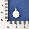 Sterling Silver Charms STER-E070-03B-3