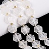 Natural Quartz Crystal Beads Strands G-N368-01A-18-1