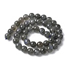 Natural Labradorite Beads Strands G-U017-8MM-01-3