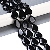 Natural Black Gemstone Beads Strands G-Q164-C01-01-2