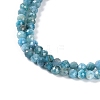 Natural Apatite Beads Strands G-P542-A01-02-4