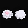 Resin Decoden Cabochons CRES-T025-04A-2