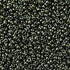 MIYUKI Round Rocailles Beads SEED-X0054-RR0459-3