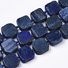 Natural Lapis Lazuli Beads Strands G-N326-03-1