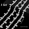 1 Yard Brass Rhinestone Cup Chains CHC-PH0001-25-2