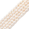 Natural Cultured Freshwater Pearl Beads Strands PEAR-I007-01B-02B-02-2