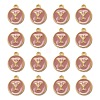 Golden Plated Alloy Enamel Charms ENAM-S118-07Y-2