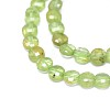 Natural Peridot Beads Strands G-I249-A13-3