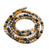 Natural Bumblebee Jasper Beads Strands G-L597-C03-01-5