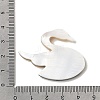 Natural Freshwater Shell & Paua Shell & White Shell Cabochons SHEL-C009-02-3