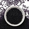 FGB 8/0 Grade A Round Glass Seed Beads SEED-Q006-3mm-F11-5