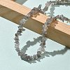 Natural Labradorite Chip Beaded Necklaces for Men Women NJEW-G159-01W-2