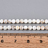 AB Color Natural Freshwater Shell Beads Strands BSHE-T014-40D-4